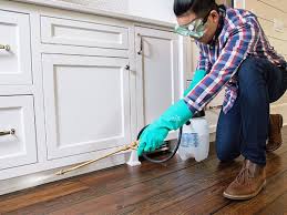 Best Pest Prevention Services  in East Mckeesport, PA